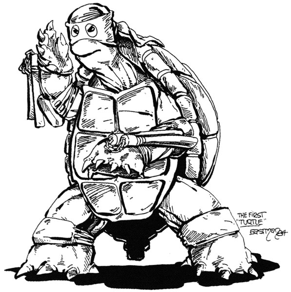 1st turtle=ninja